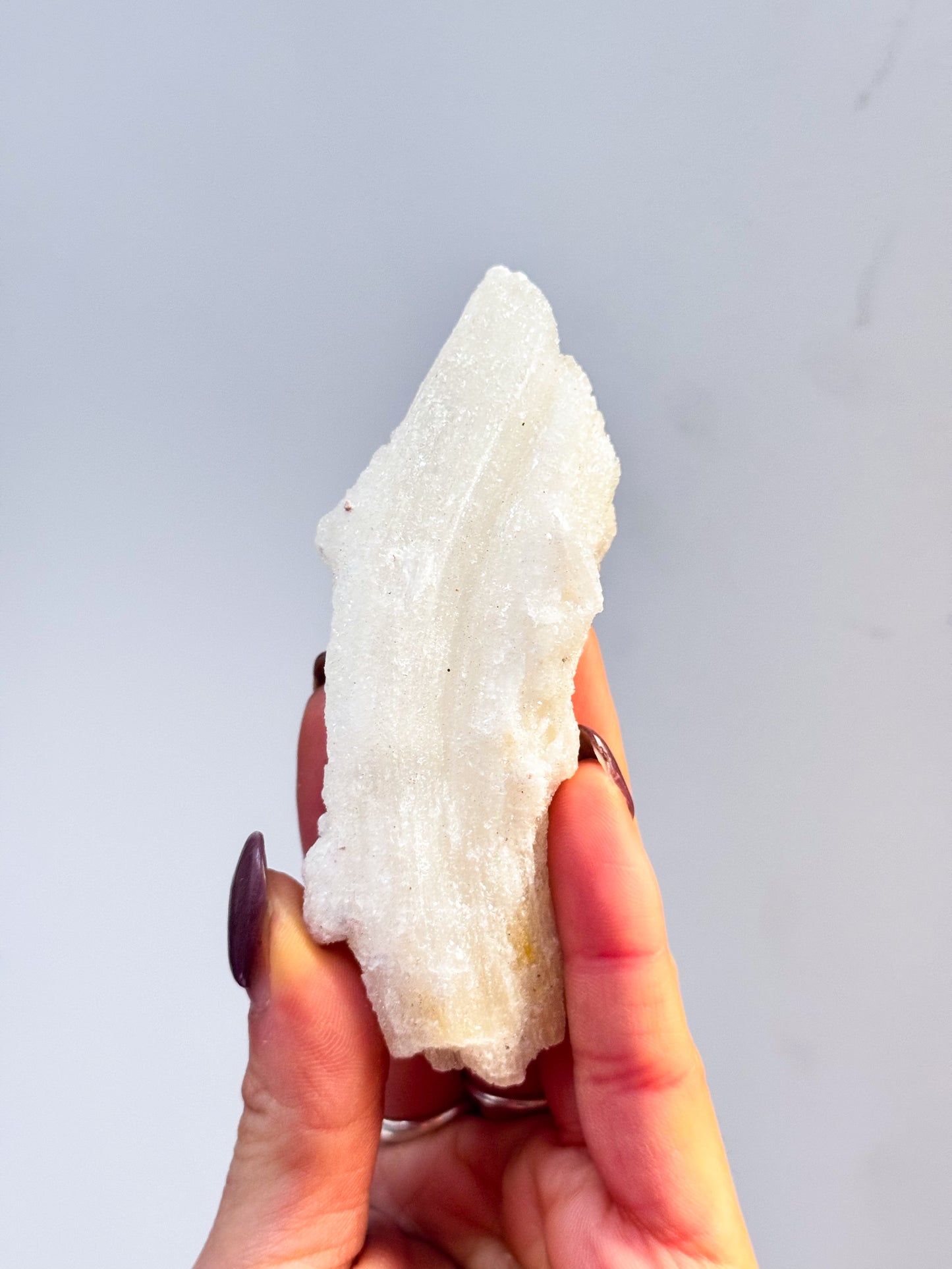 Wave Rams Horn Selenites - Small