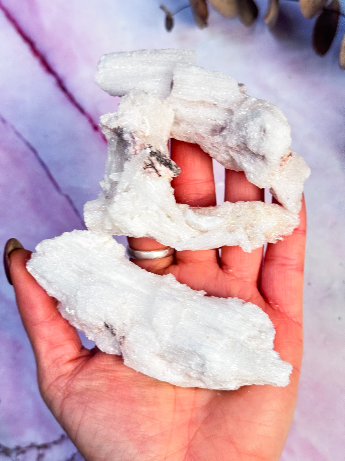 Wave Rams Horn Selenites - Small