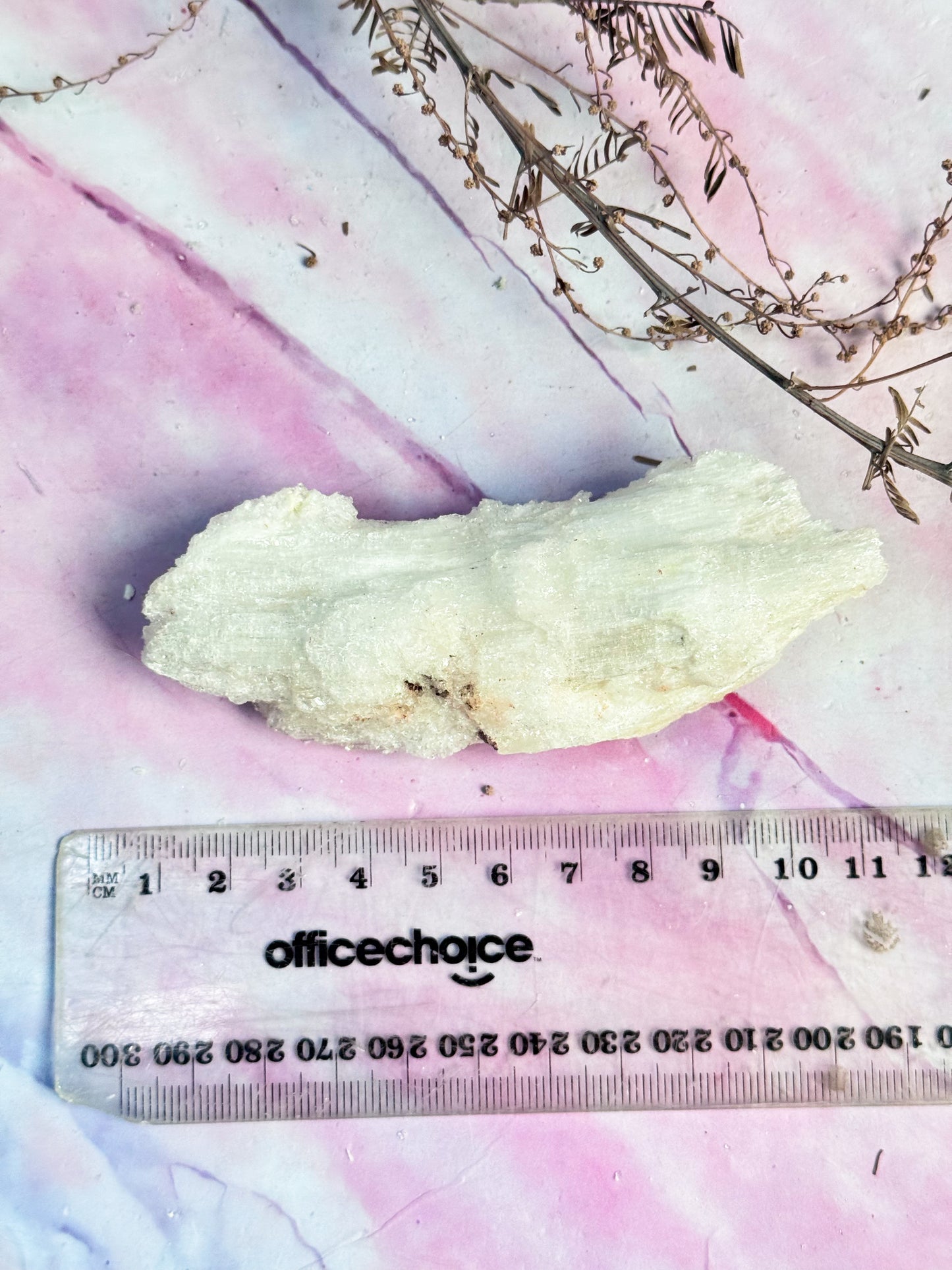 Wave Rams Horn Selenites - Small