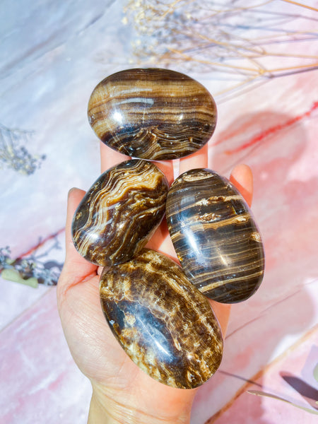 Chocolate Aragonite Palmstones