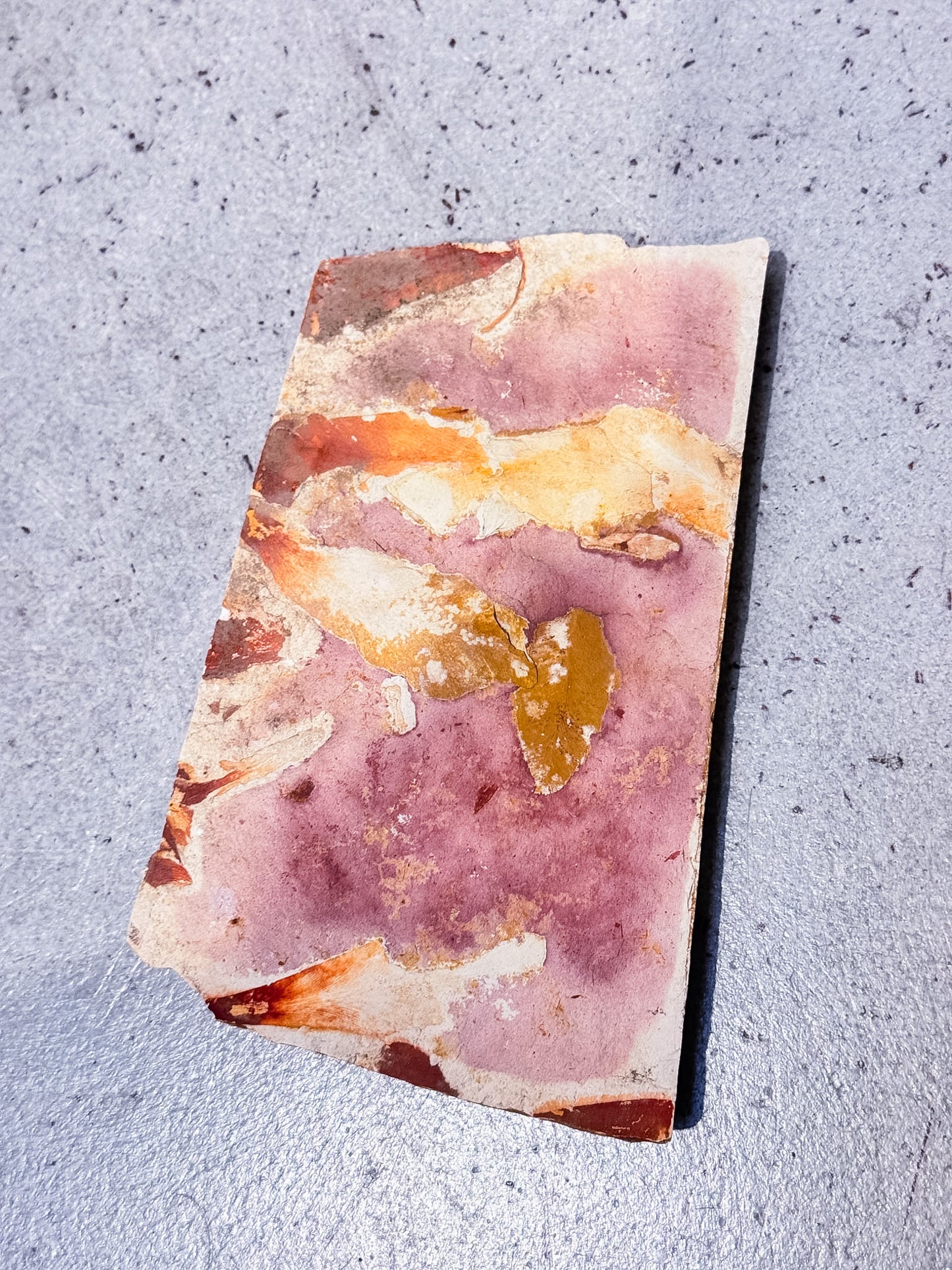 Gondwana Leaf Fossil