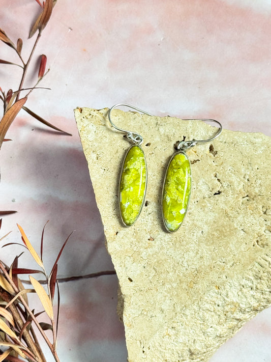 Lizardite Serpentine Earrings - Oval