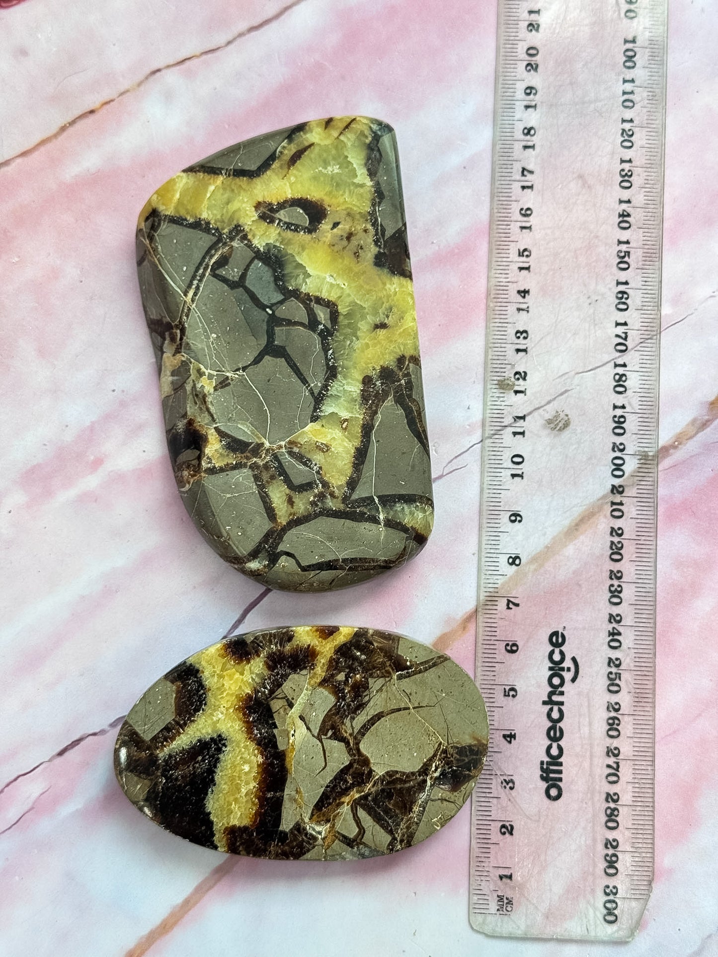 Septarian Dragon Slices