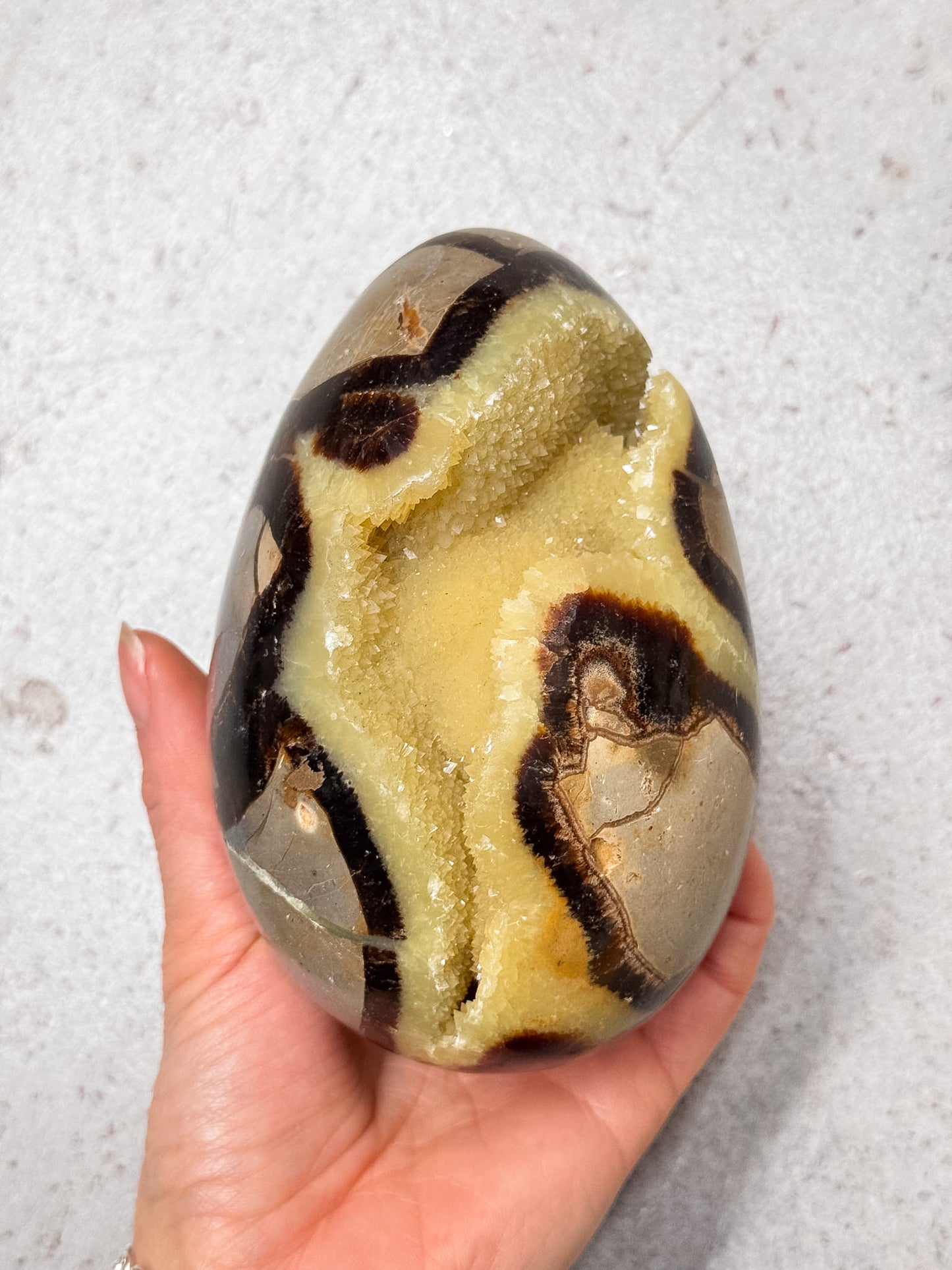 Septarian Dragon Egg