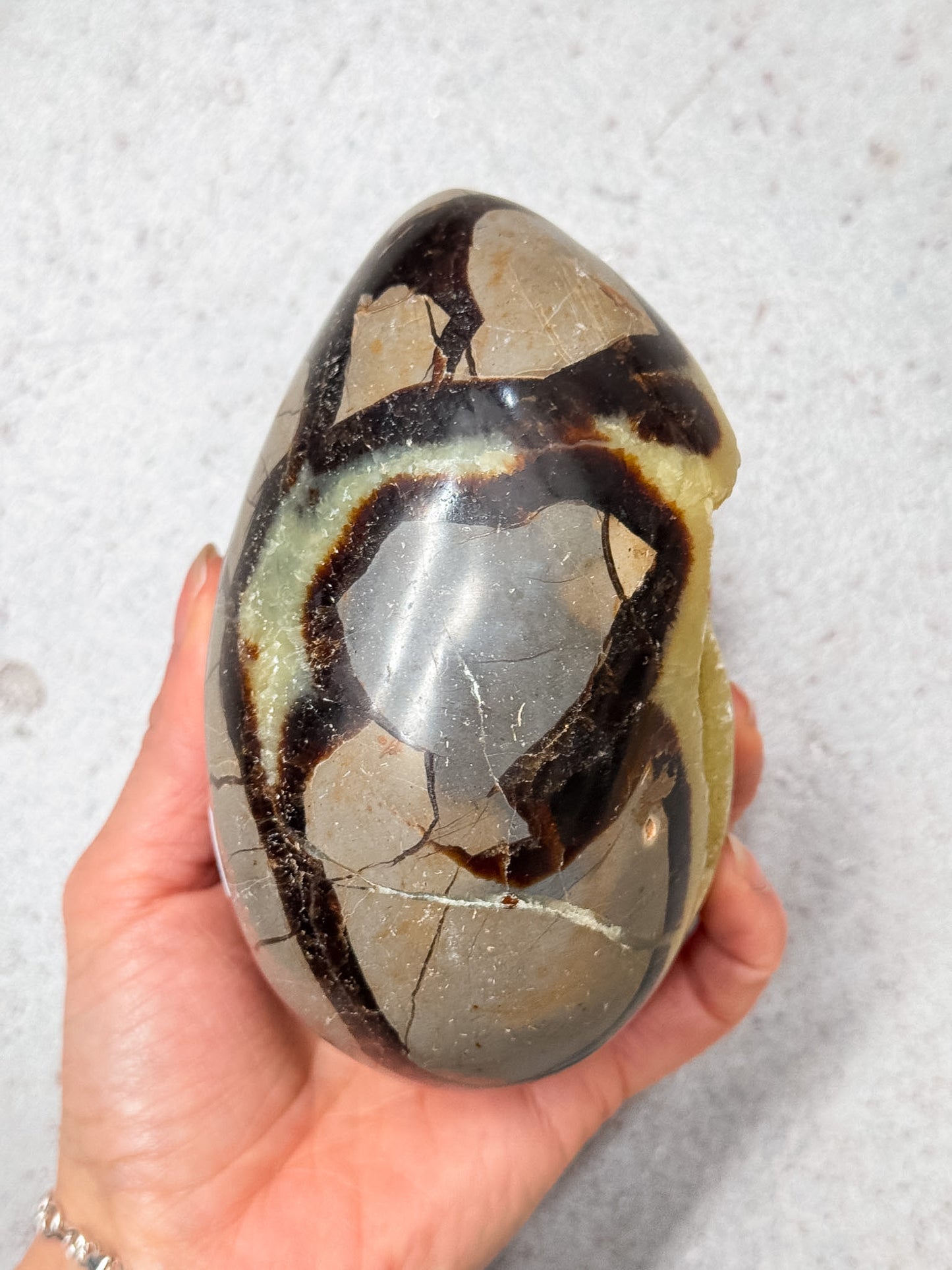 Septarian Dragon Egg