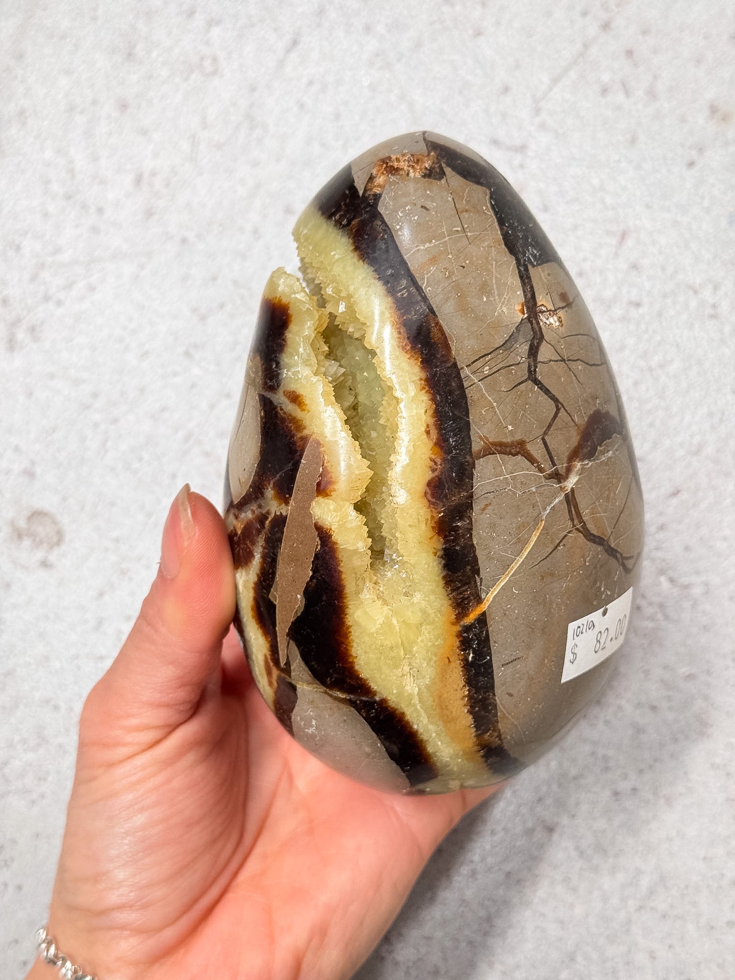 Septarian Dragon Egg