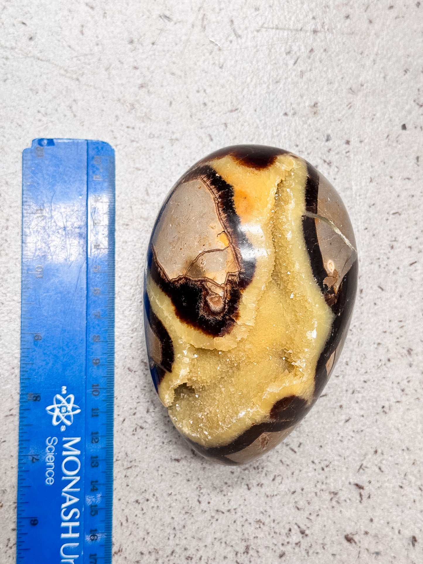 Septarian Dragon Egg