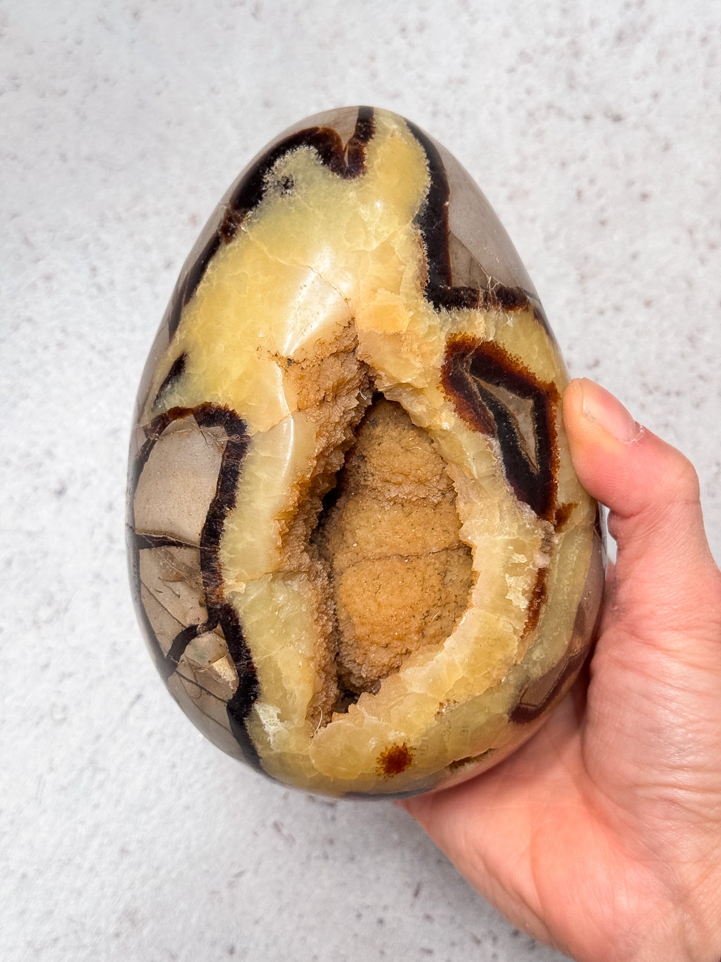 Septarian Dragon Egg