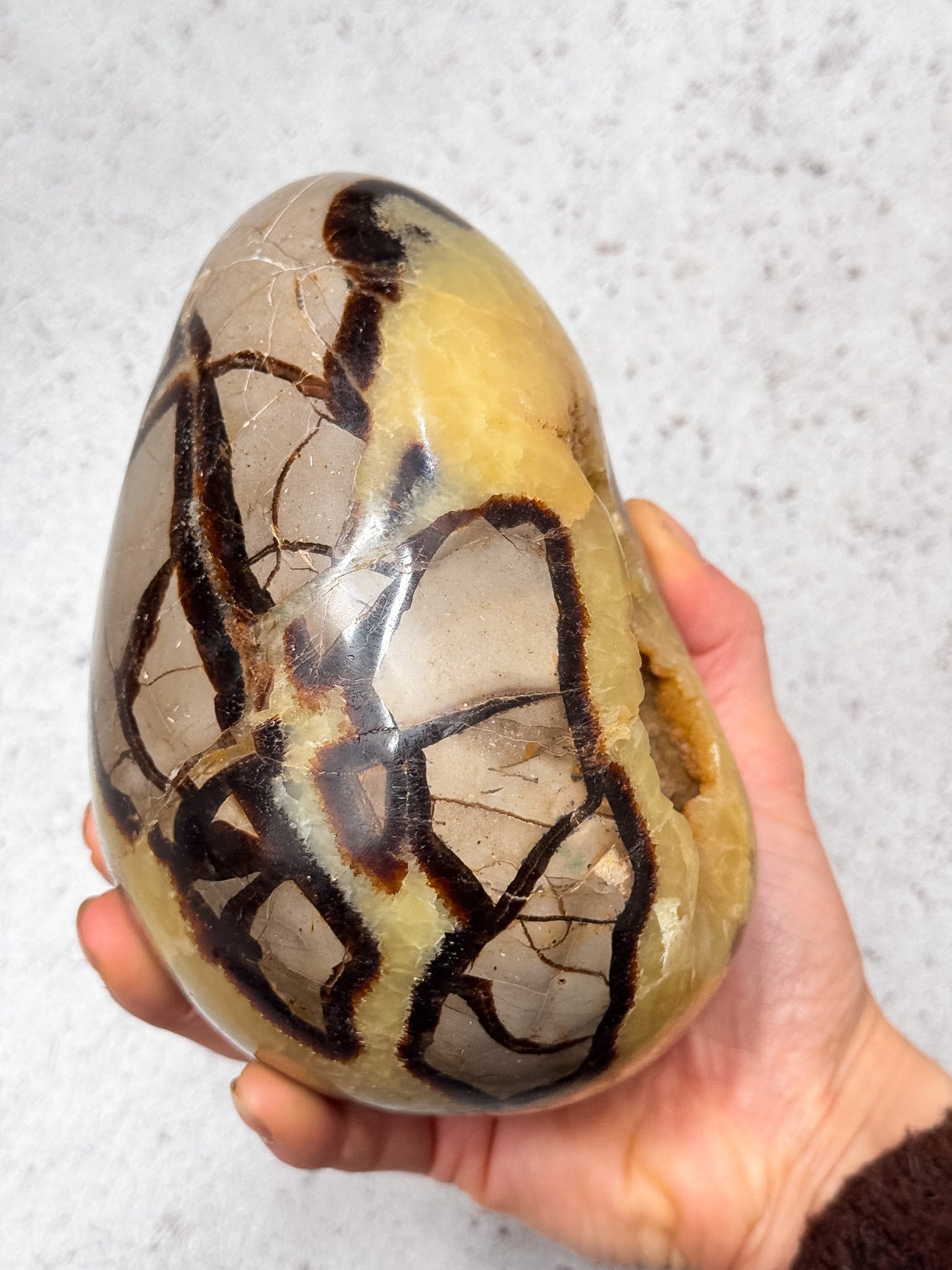 Septarian Dragon Egg