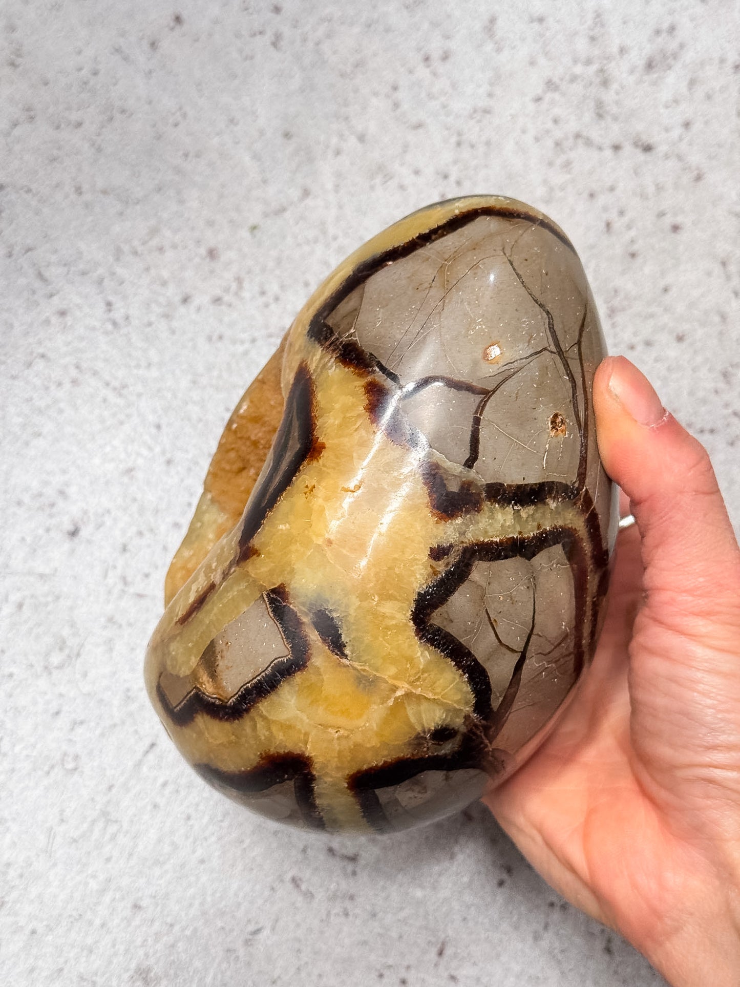 Septarian Dragon Egg