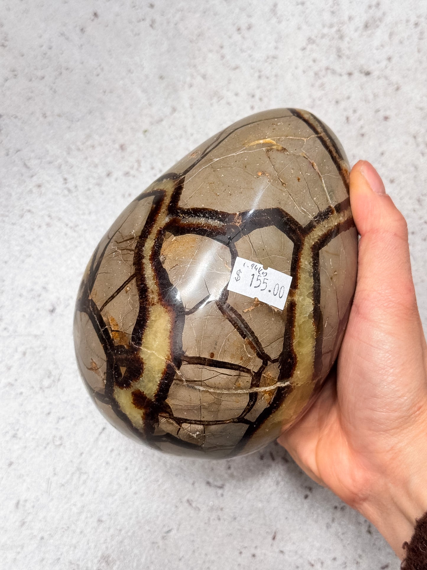 Septarian Dragon Egg