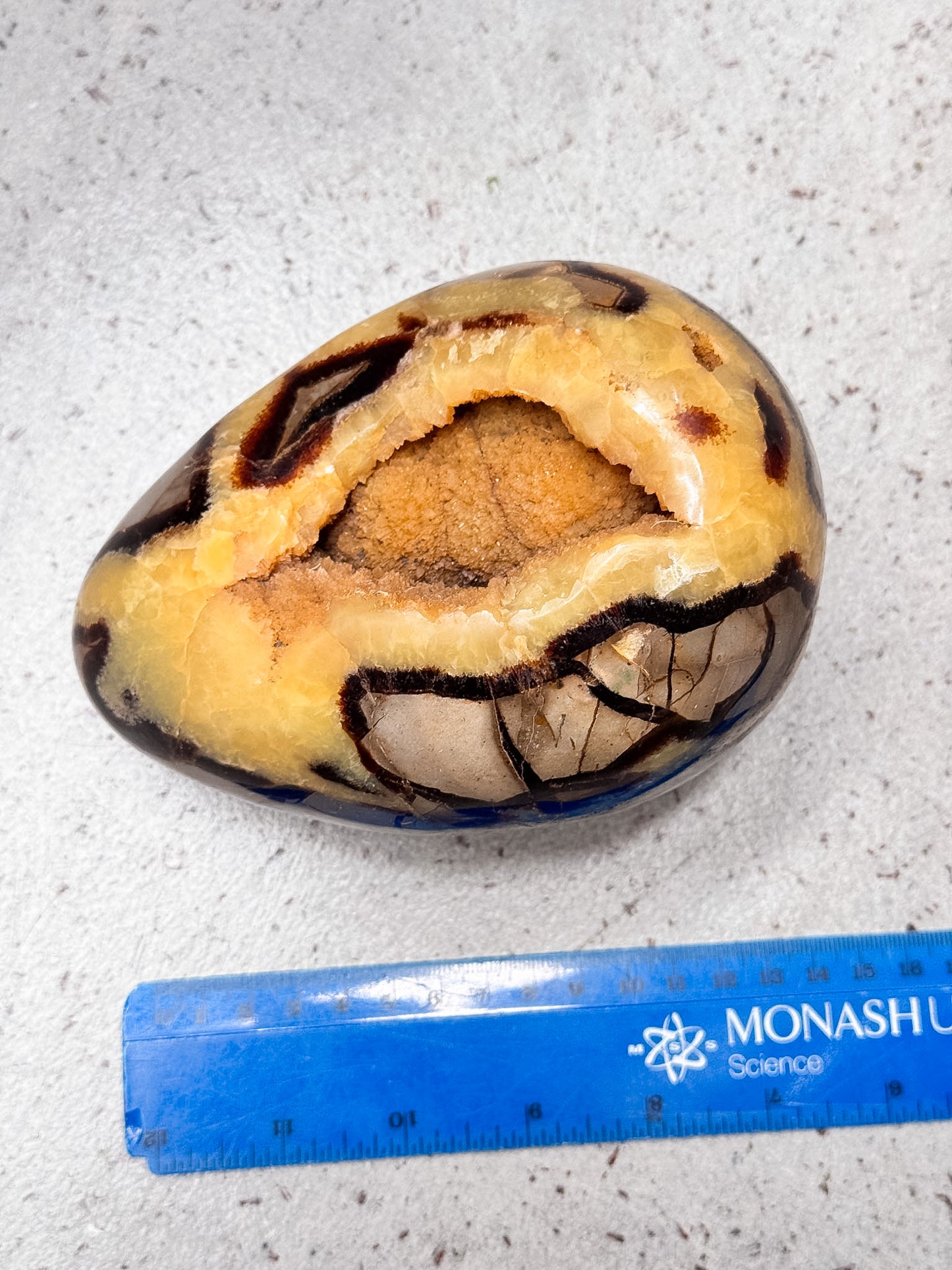 Septarian Dragon Egg