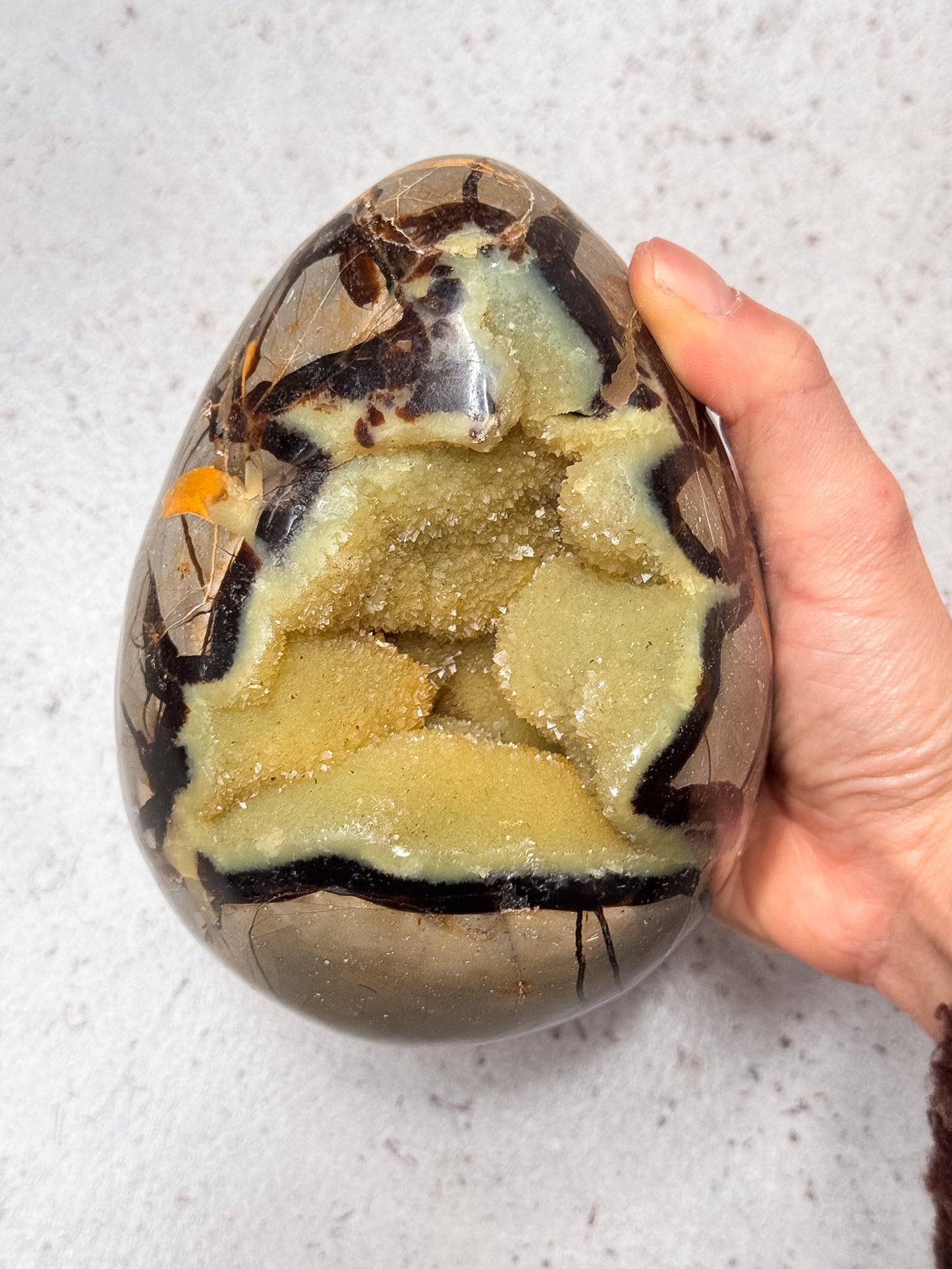 Septarian Dragon Egg