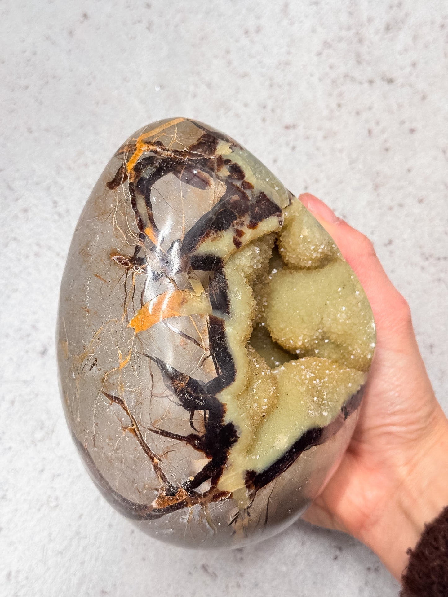 Septarian Dragon Egg