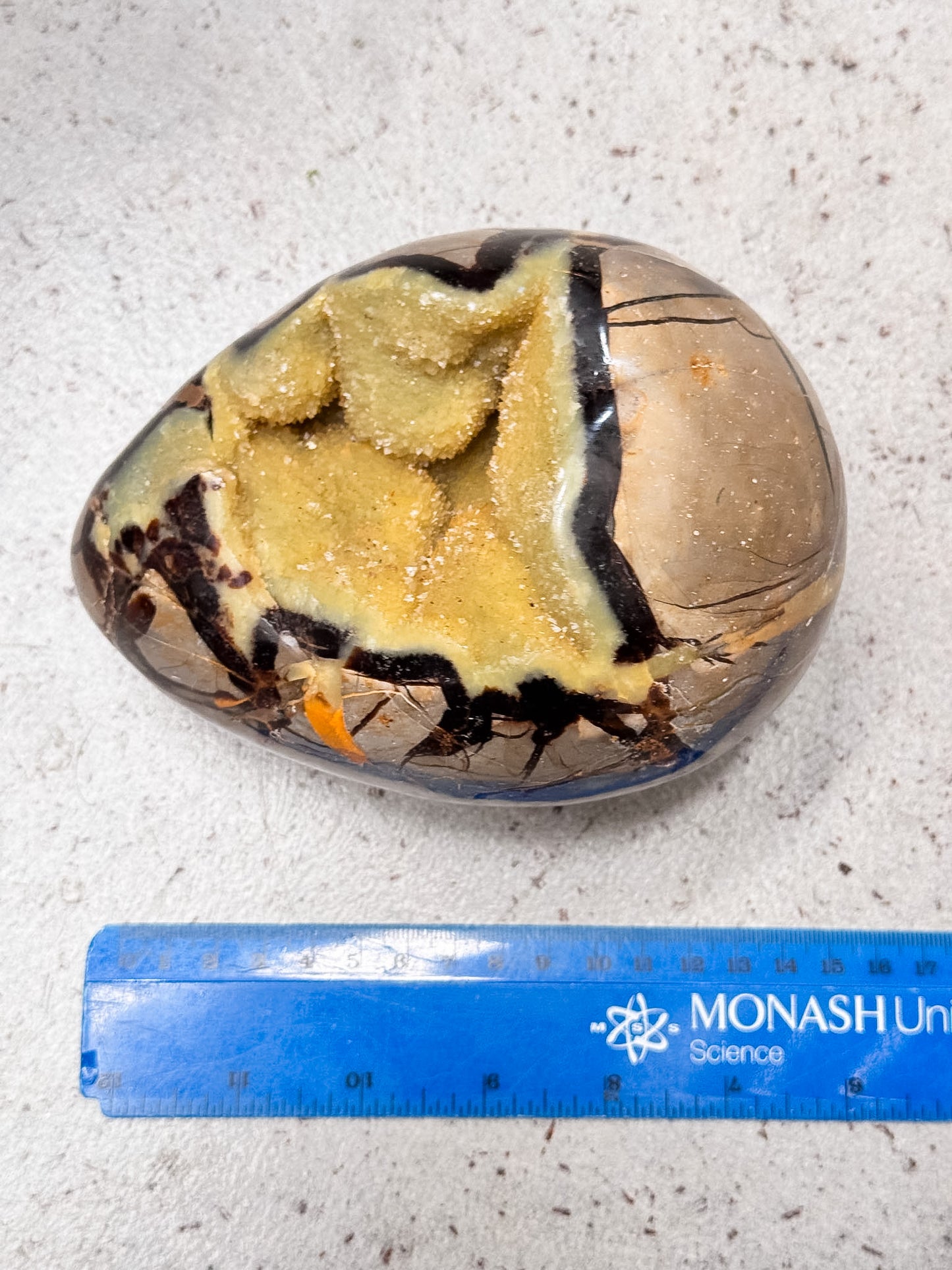 Septarian Dragon Egg