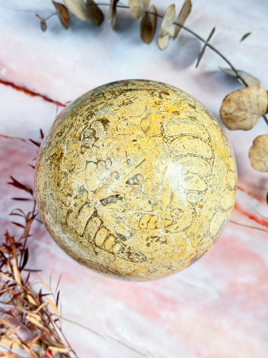 Large Fossil Stone Sphere