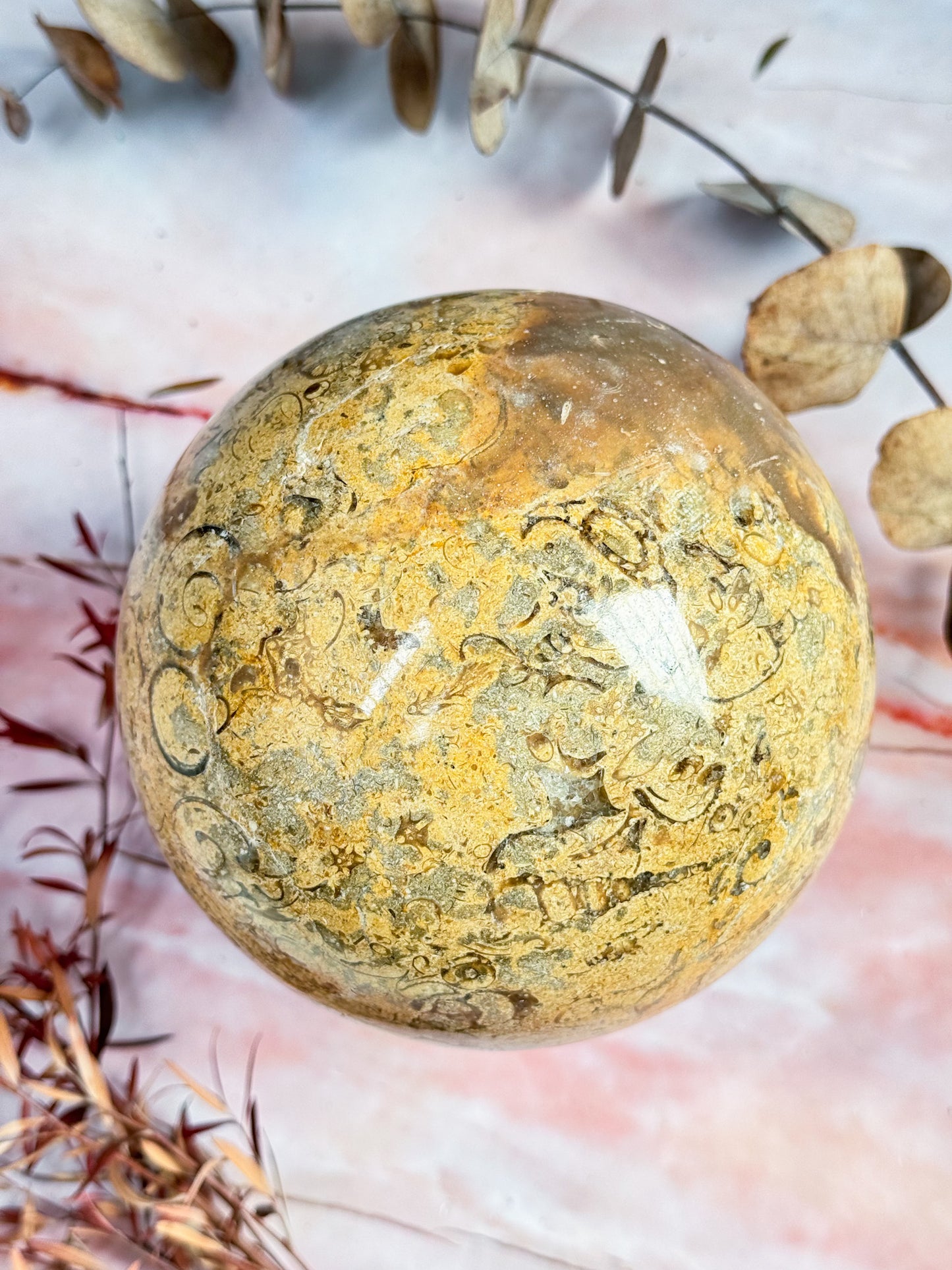 Large Fossil Stone Sphere