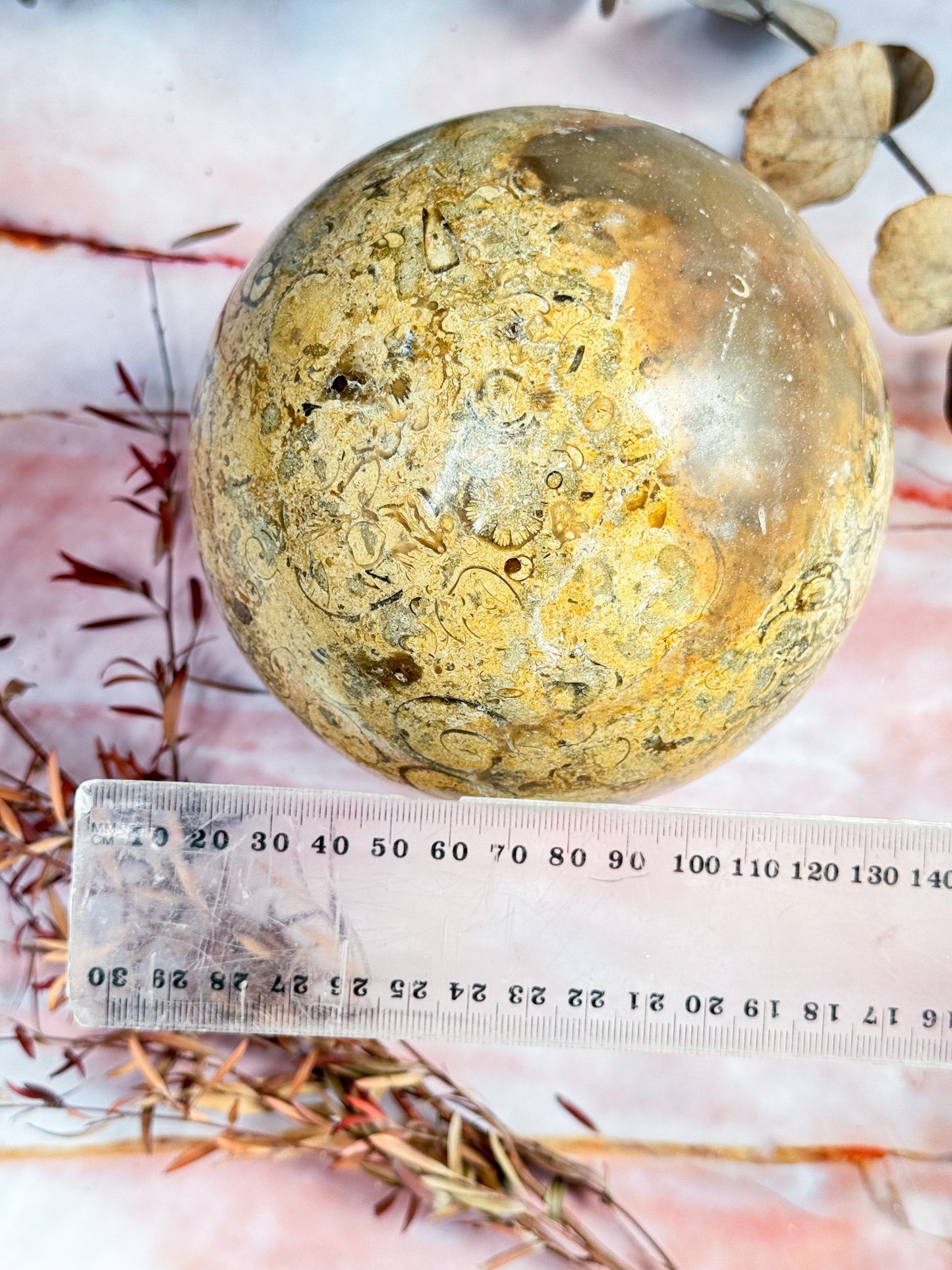 Large Fossil Stone Sphere