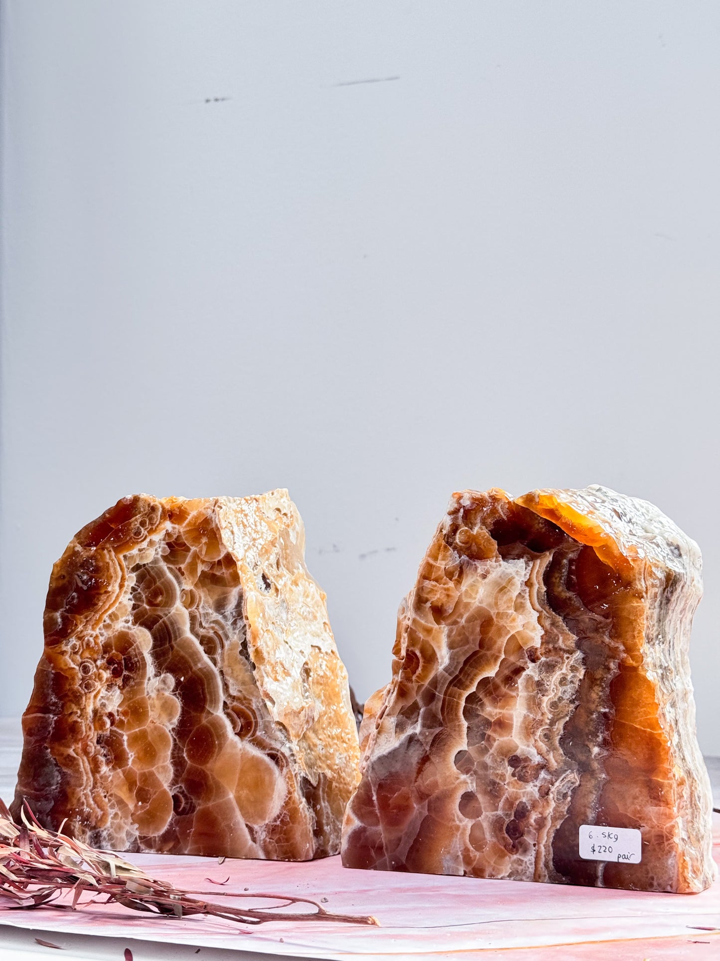 Large Caramel Aragonite Bookend Pair