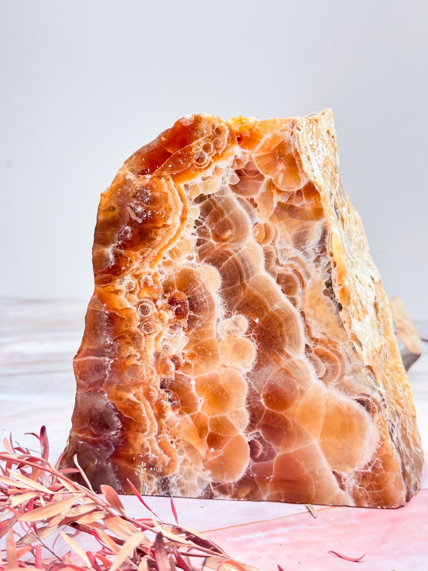 Large Caramel Aragonite Bookend Pair