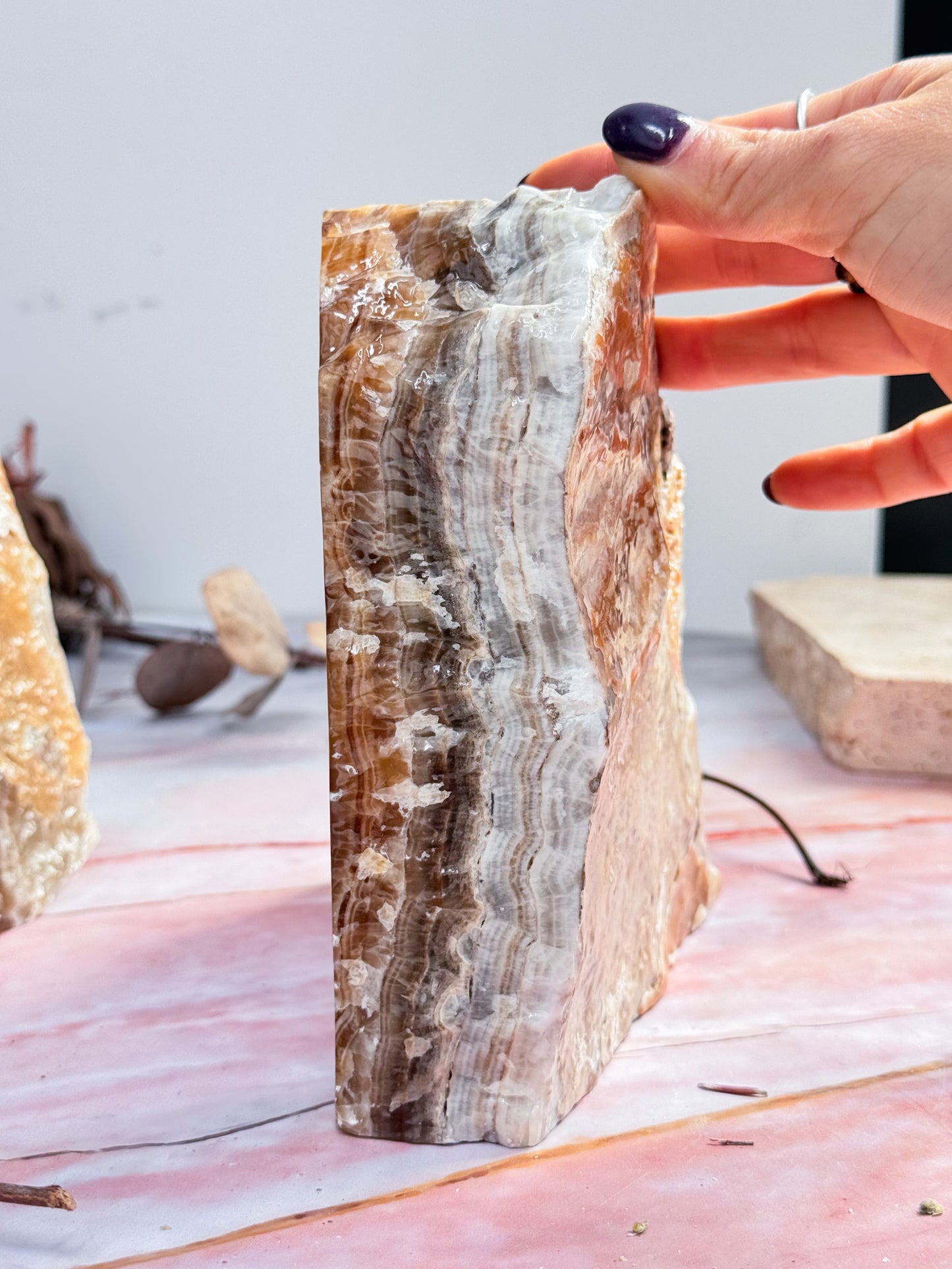 Large Caramel Aragonite Bookend Pair
