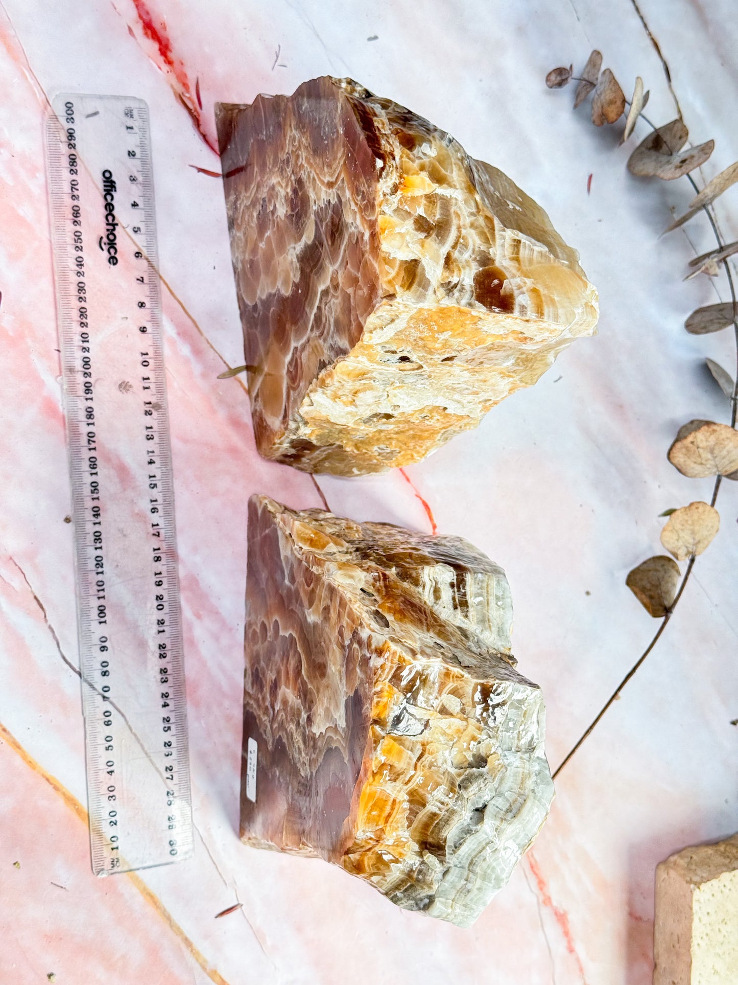 Large Caramel Aragonite Bookend Pair
