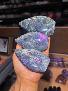 Purple Labradorite Teardrop Freeforms