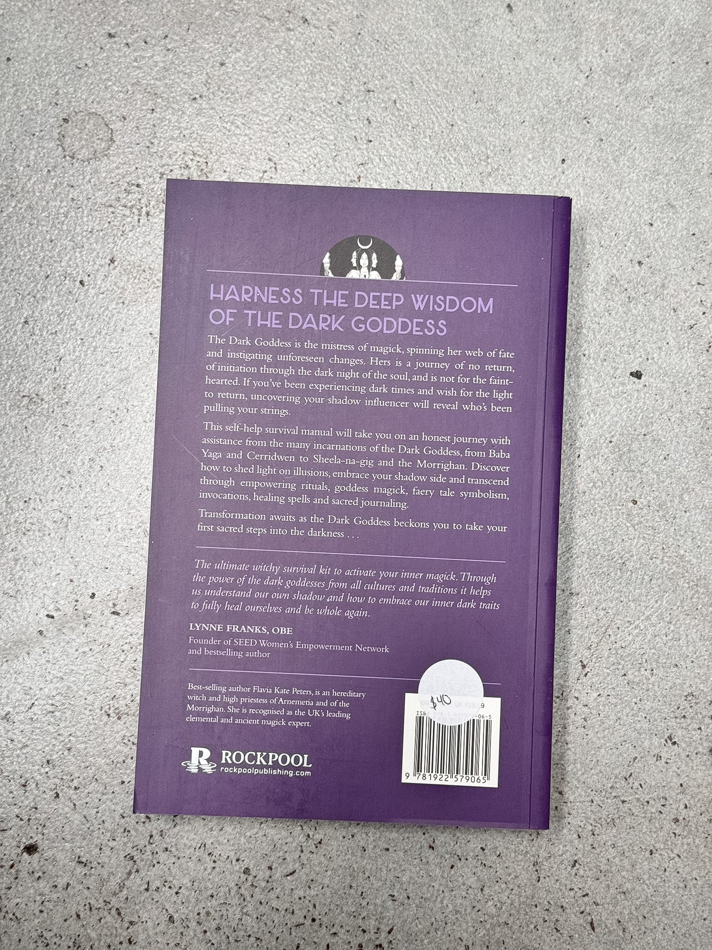 Reclaim Your Dark Goddess Book