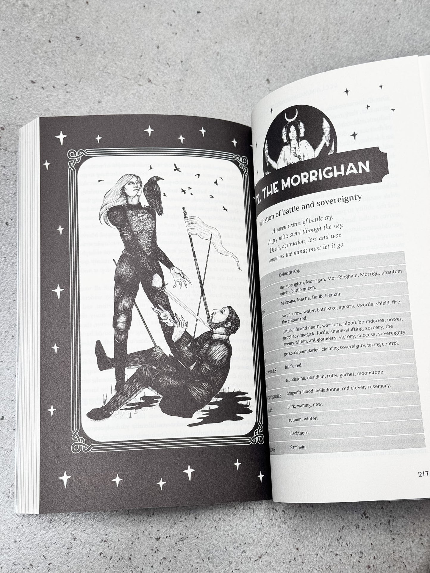 Reclaim Your Dark Goddess Book