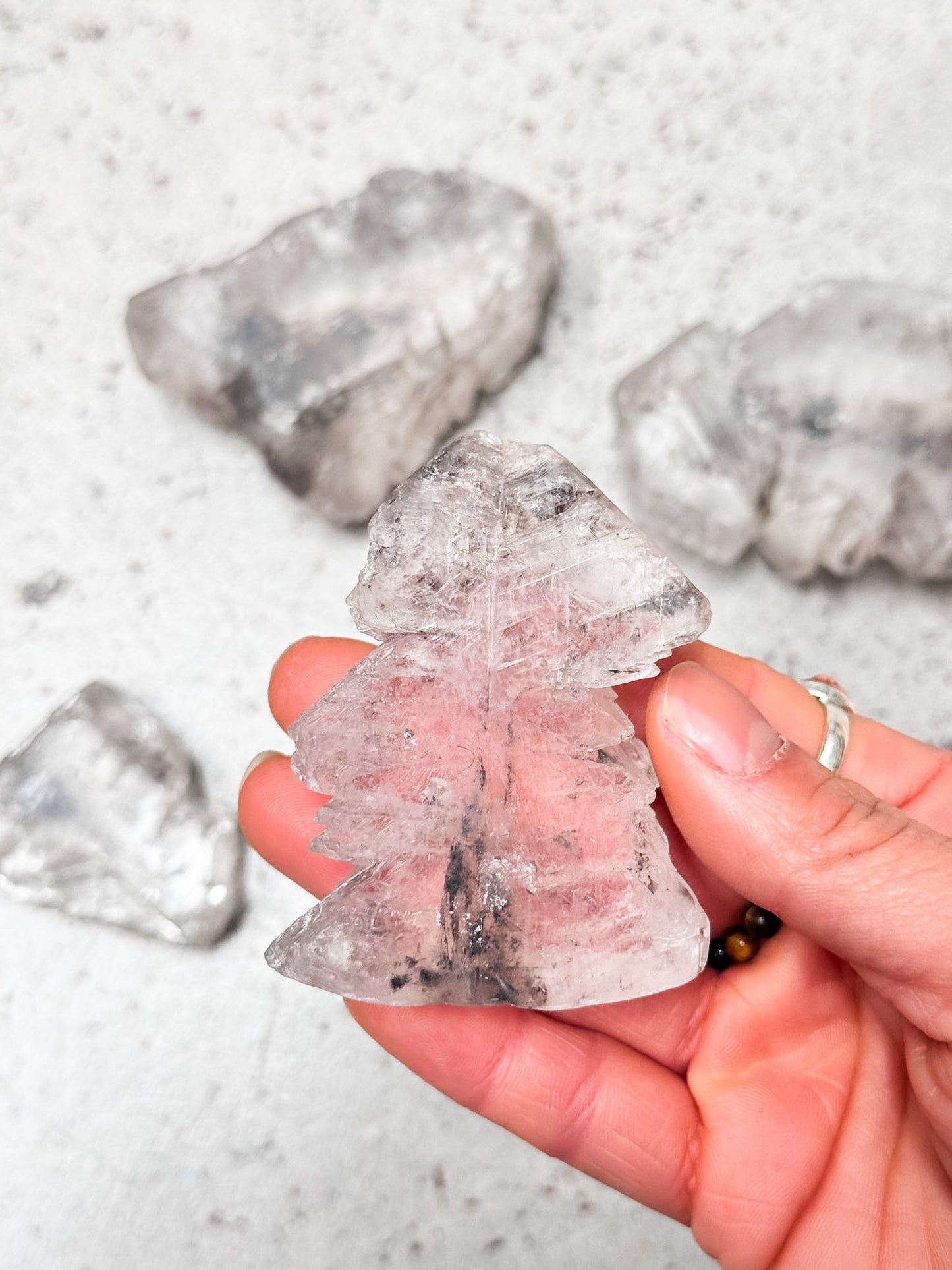 Fishtail Selenite Slices