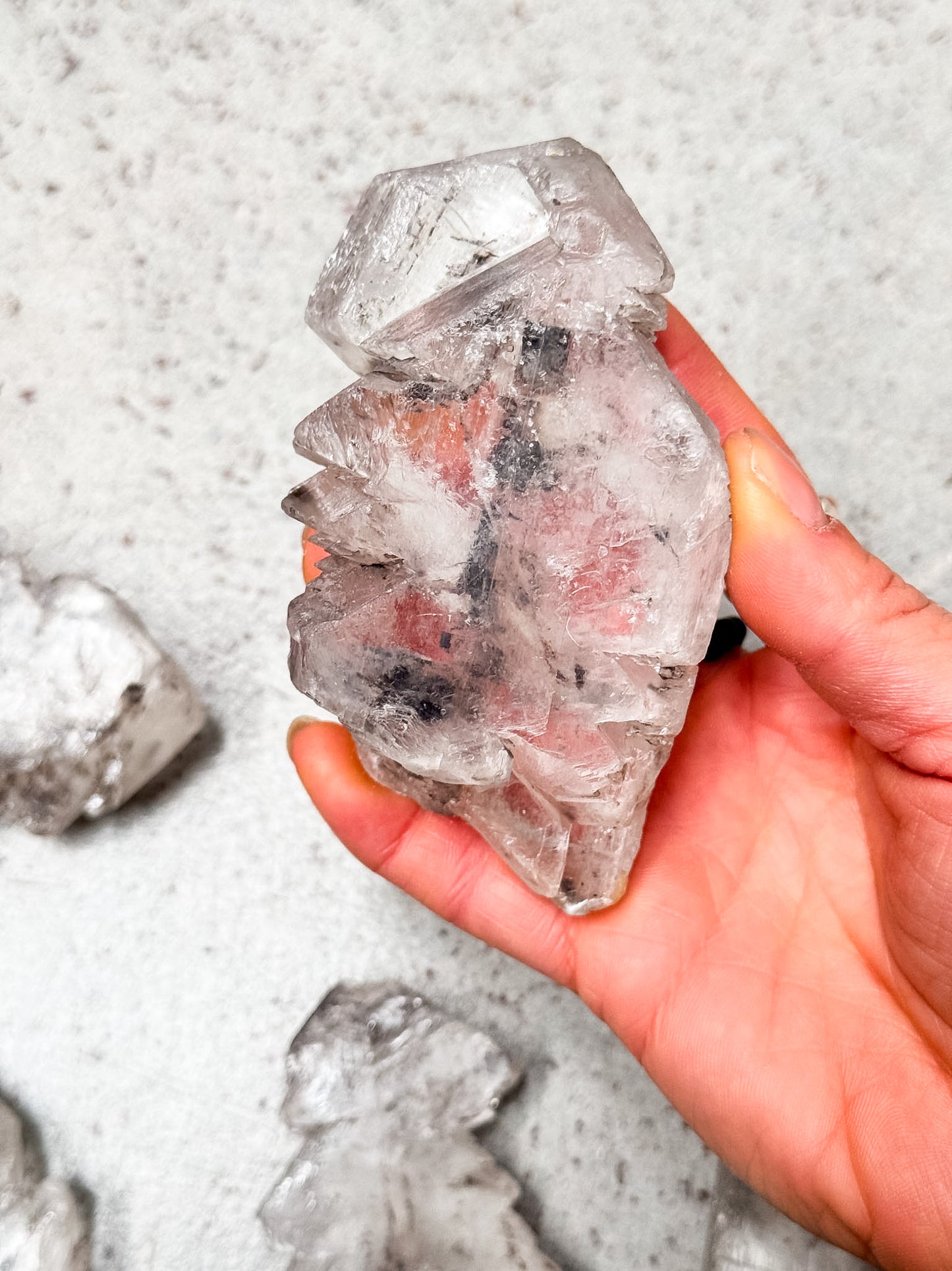 Fishtail Selenite Slices