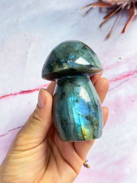 Labradorite Mushroom