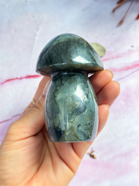 Labradorite Mushroom