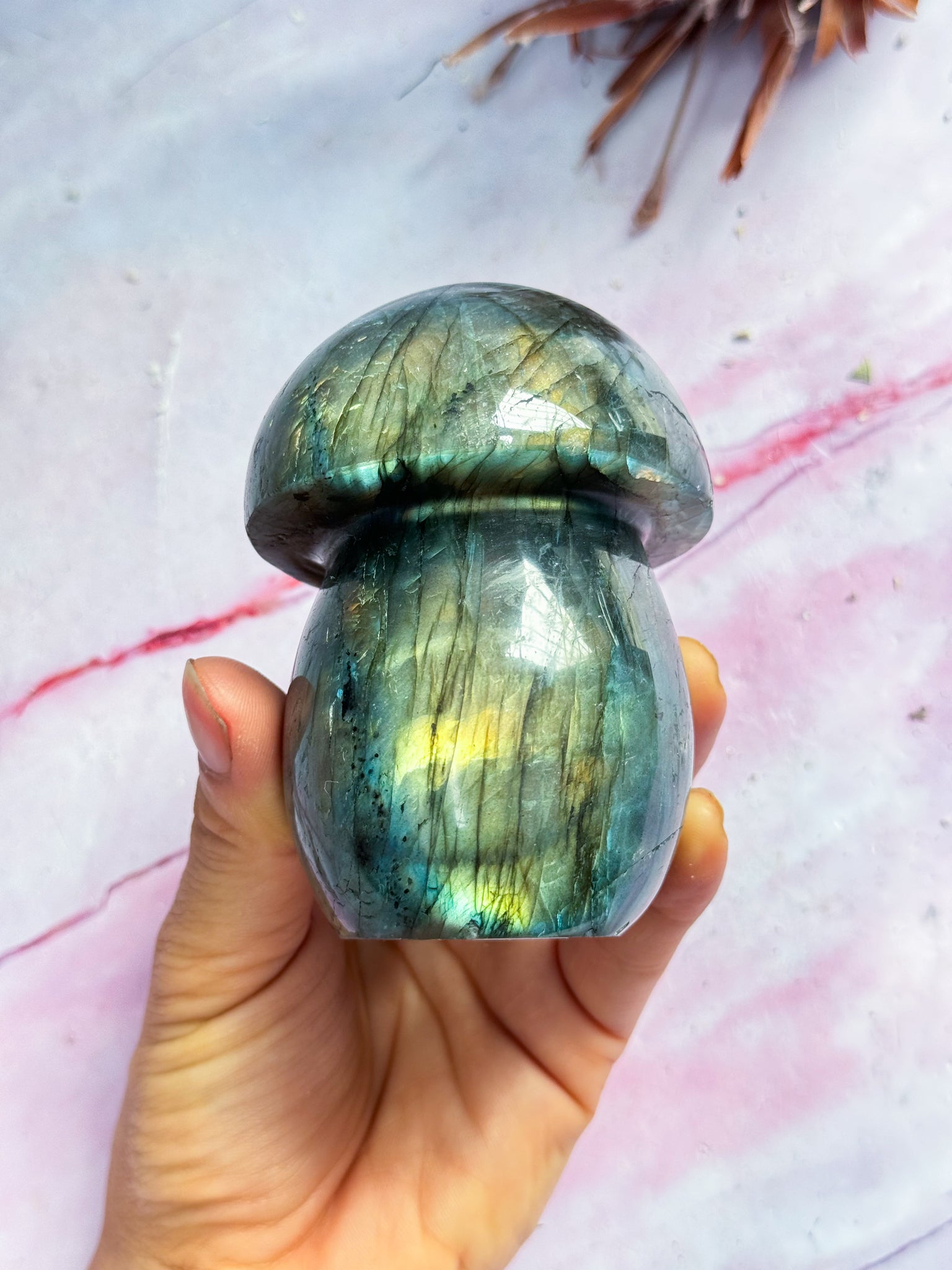 Labradorite Mushroom