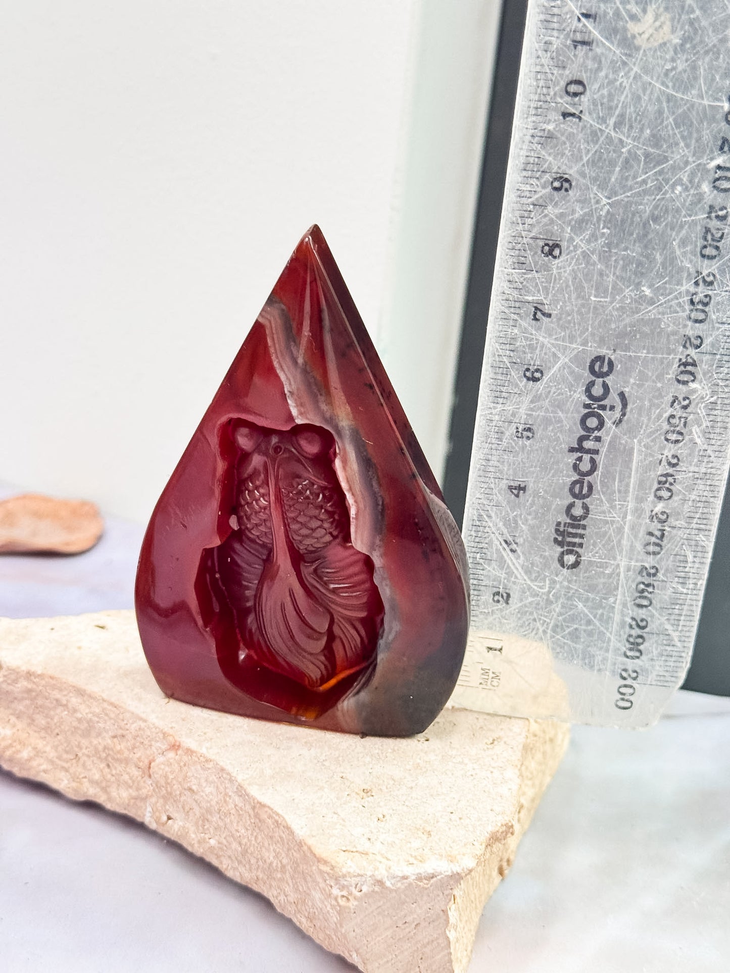 Carnelian Goldfish Freeforms