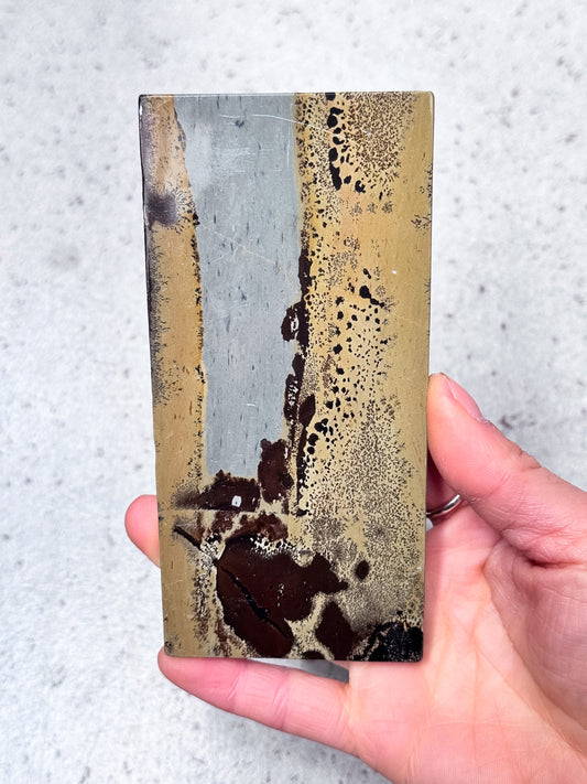Picture Jasper Slice