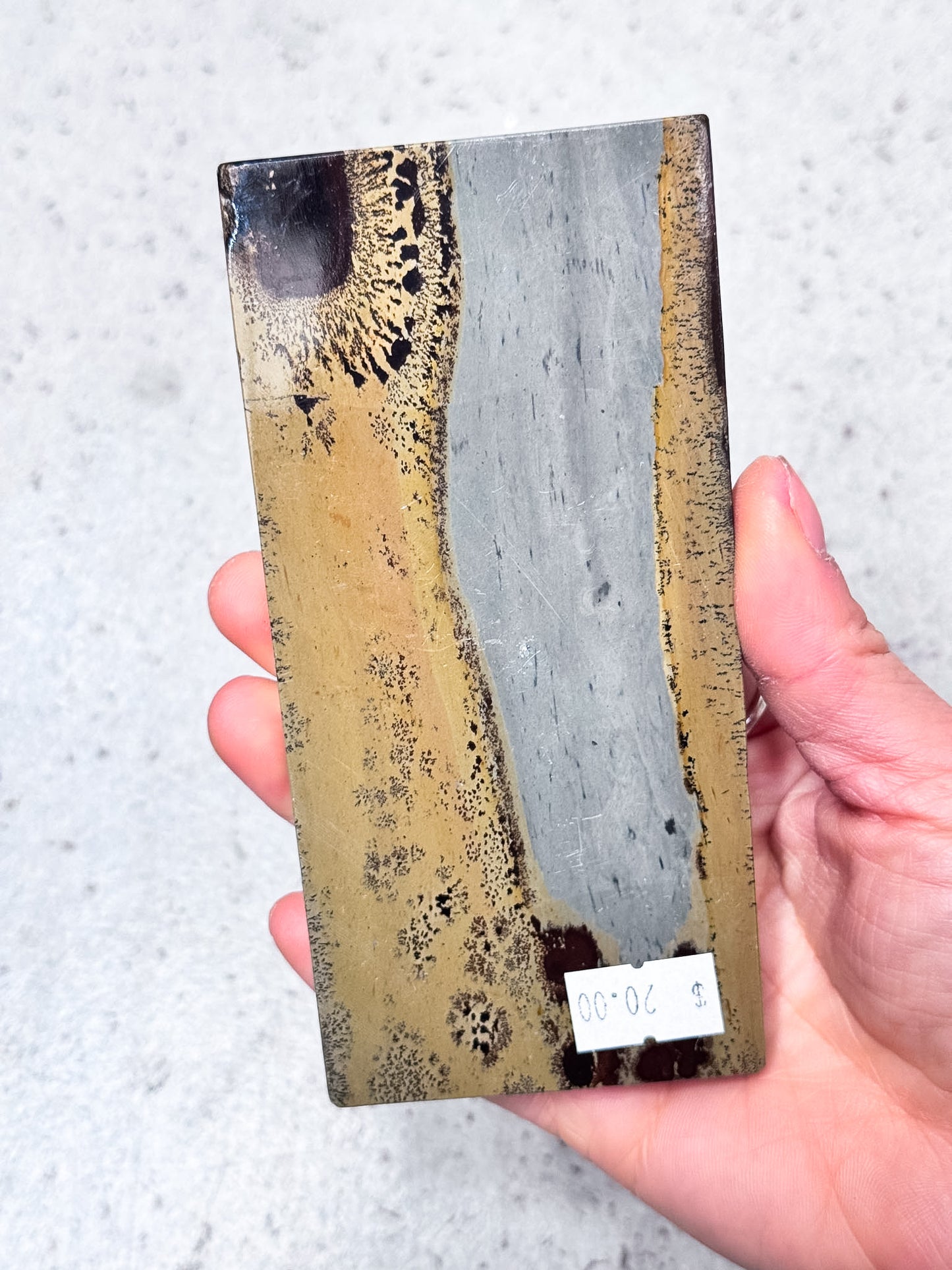 Picture Jasper Slice