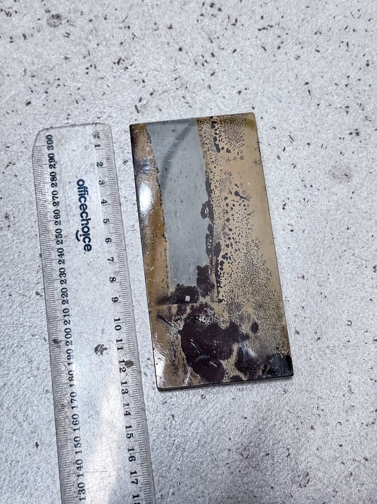 Picture Jasper Slice