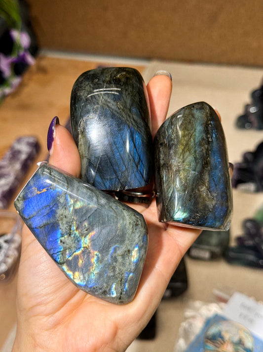 Small Labradorite Freeforms