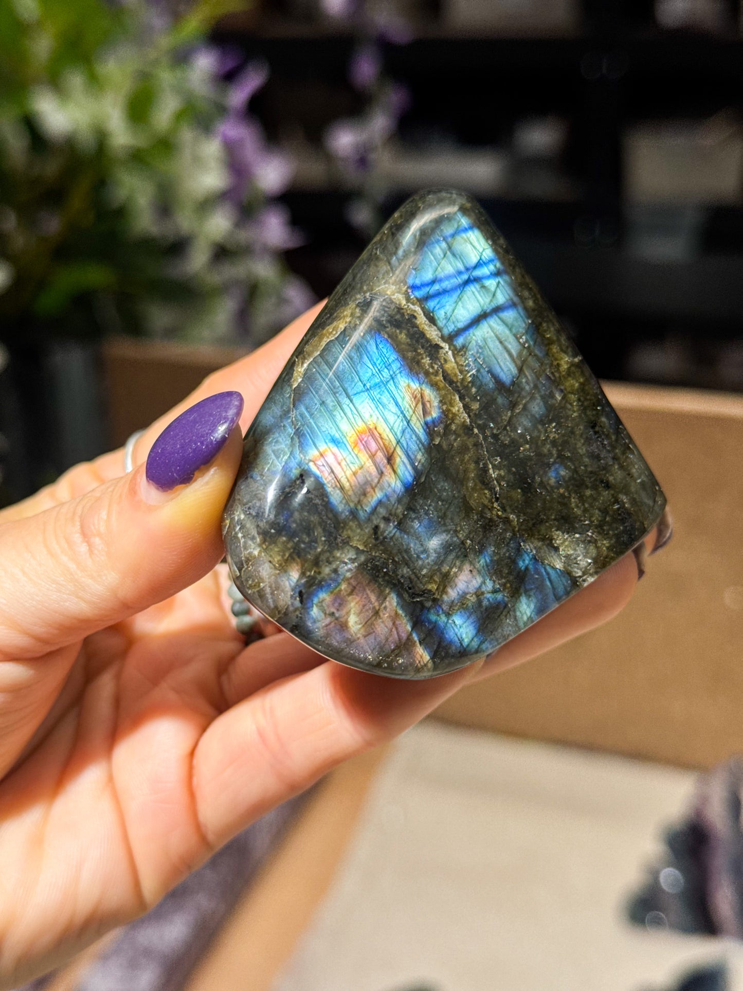 Small Labradorite Freeforms