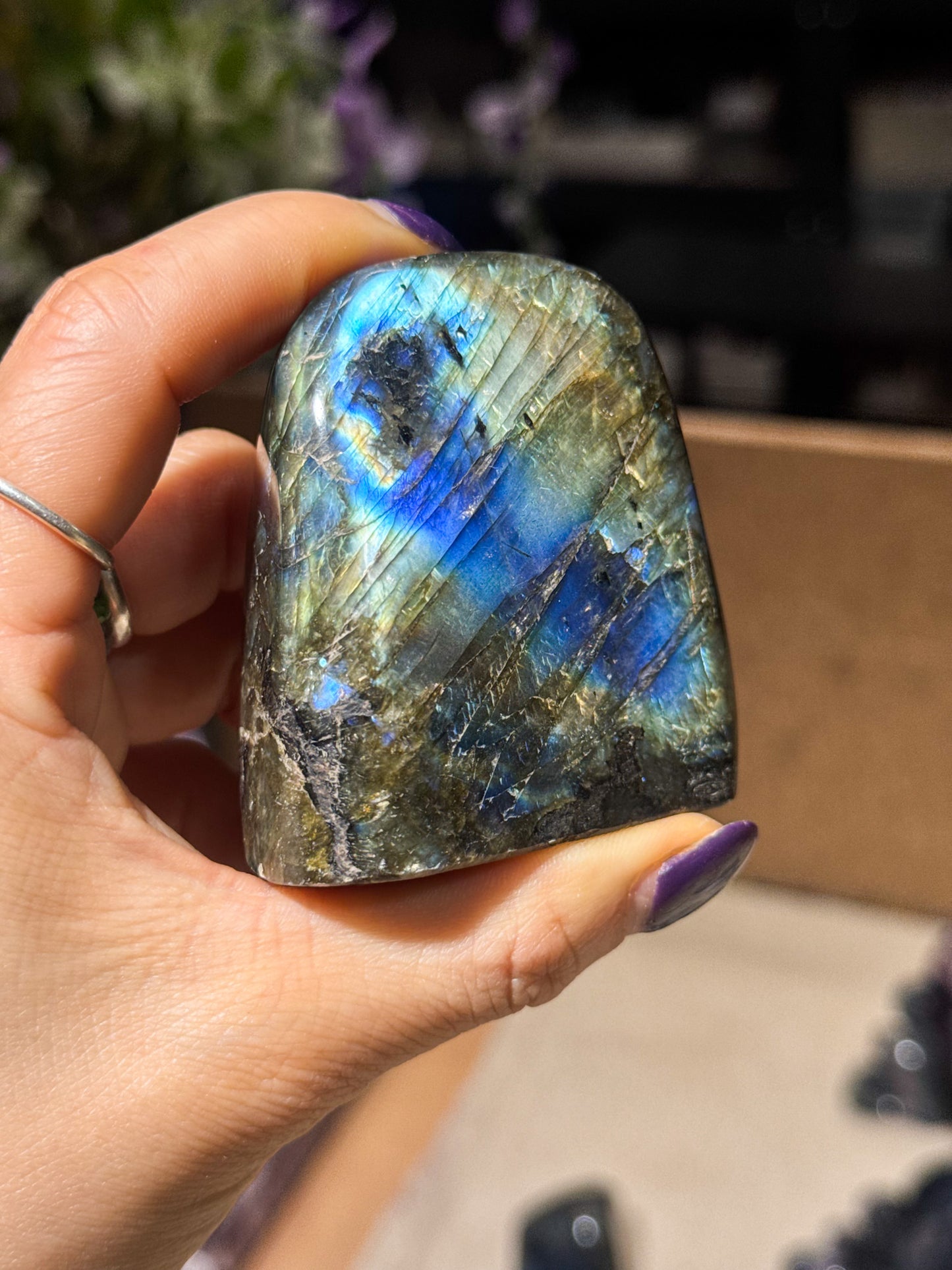 Small Labradorite Freeforms
