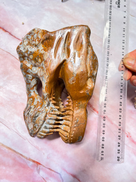T-Rex Brecciated Japer Skull Carving #2