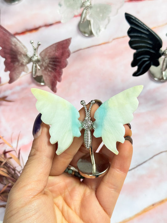 Butterfly Wing Pairs on Stand