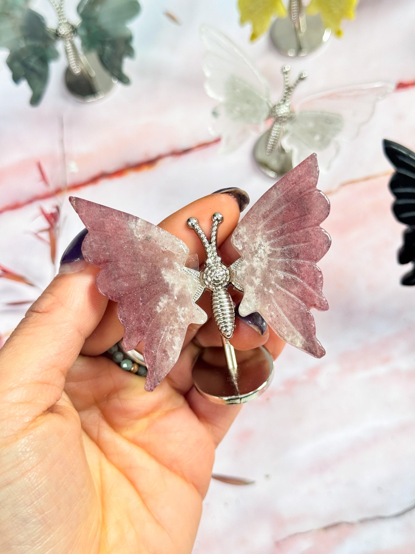 Butterfly Wing Pairs on Stand