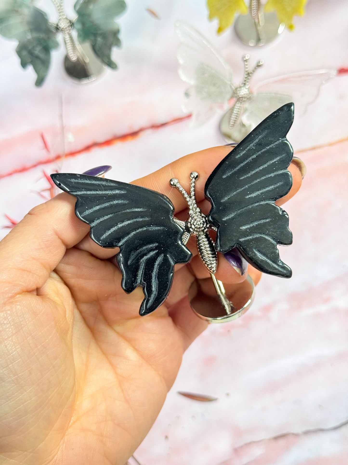 Butterfly Wing Pairs on Stand