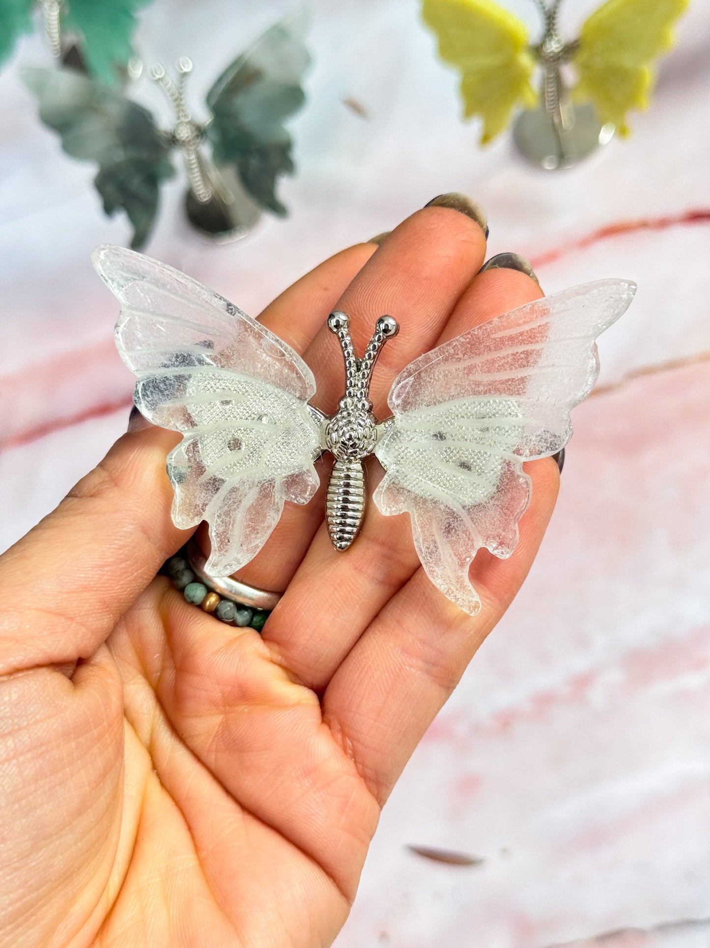 Butterfly Wing Pairs on Stand