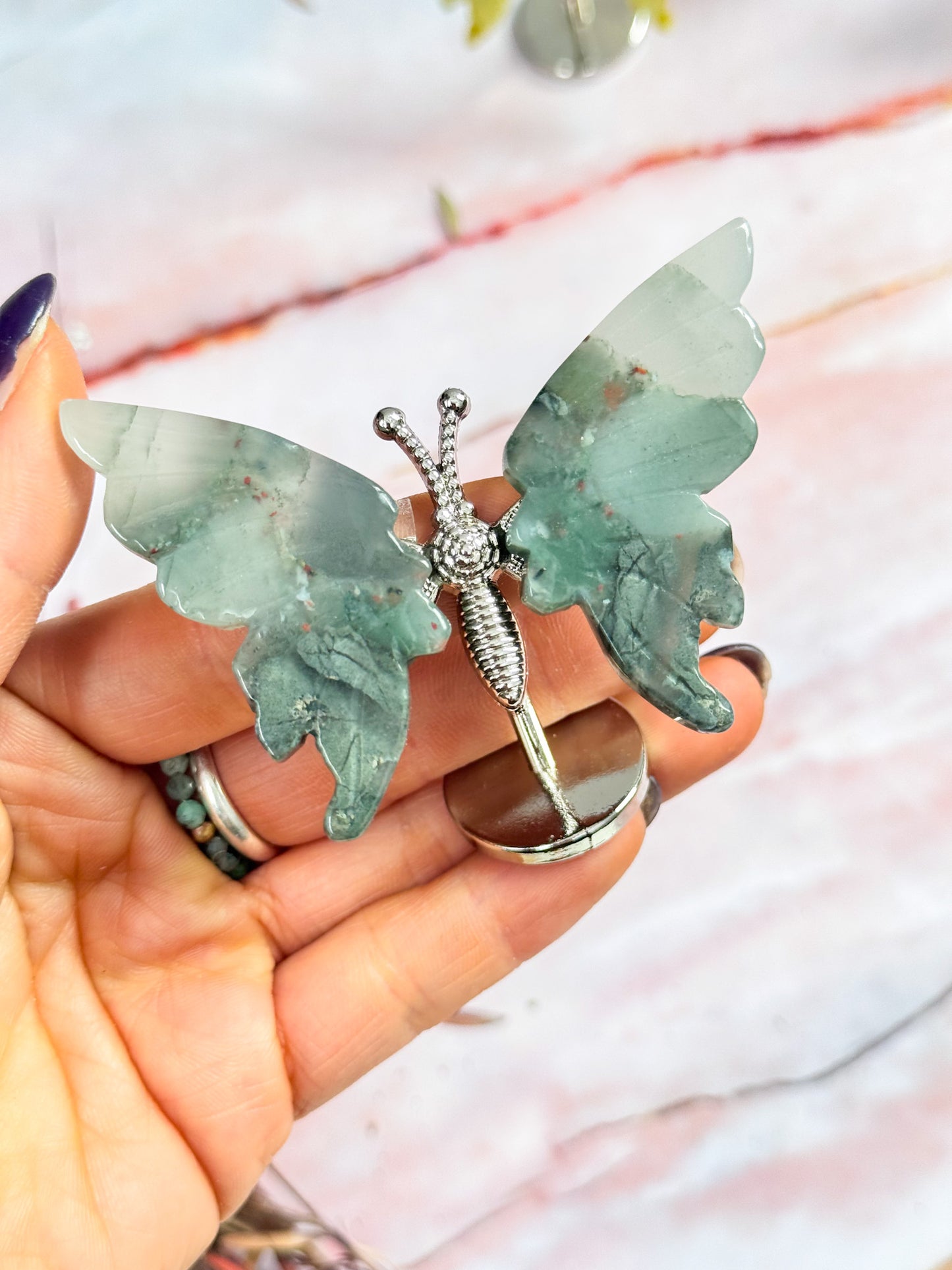 Butterfly Wing Pairs on Stand