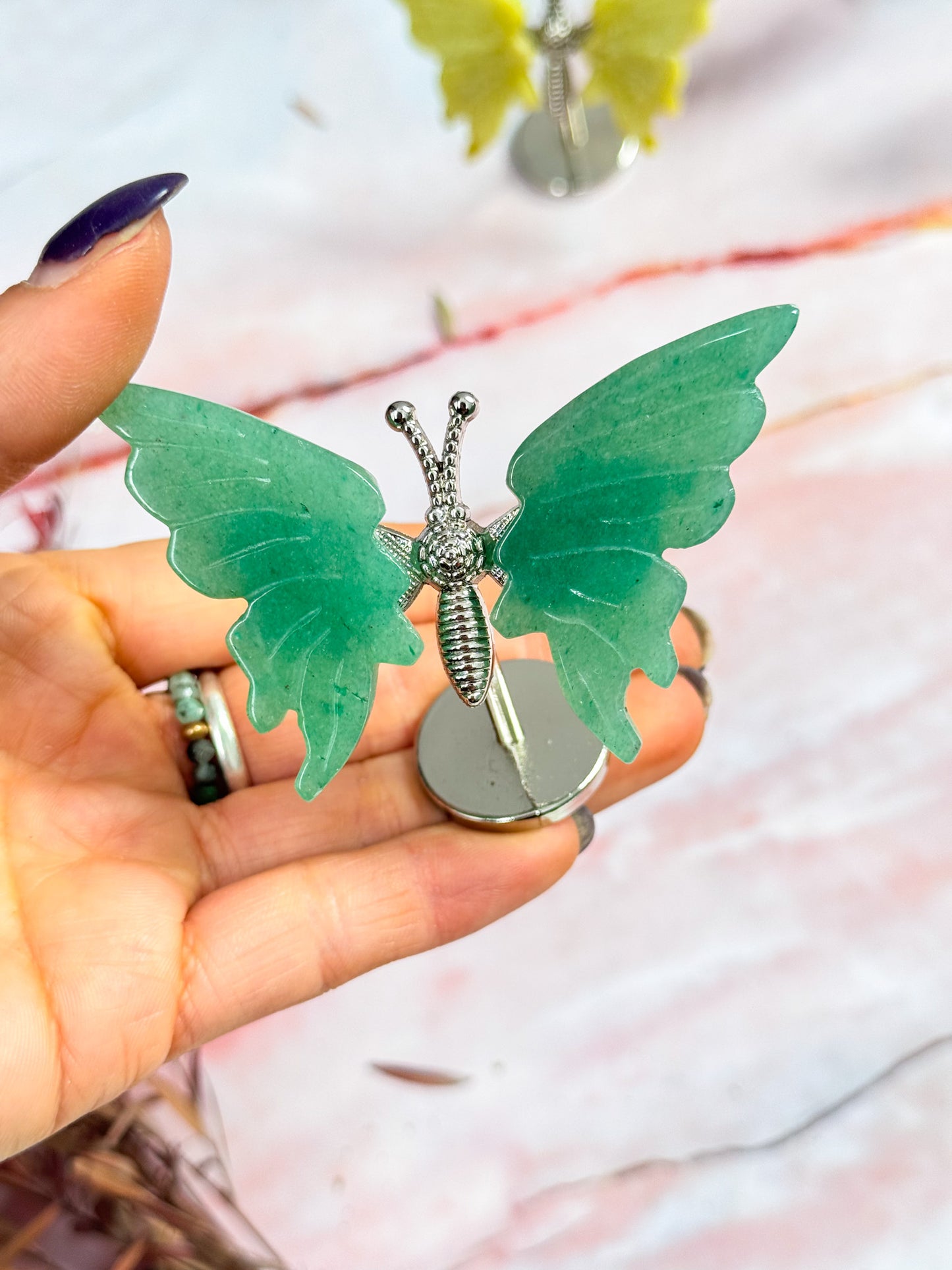 Butterfly Wing Pairs on Stand