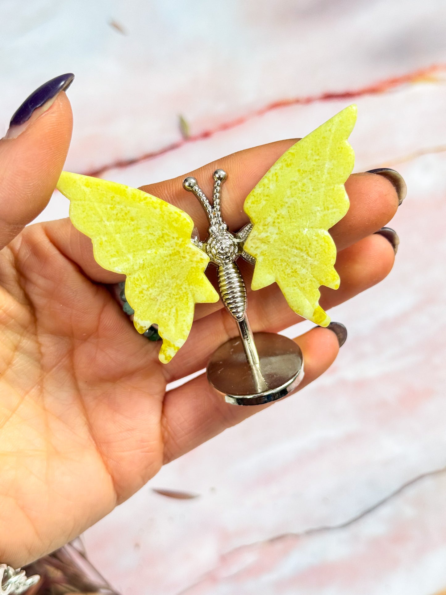 Butterfly Wing Pairs on Stand