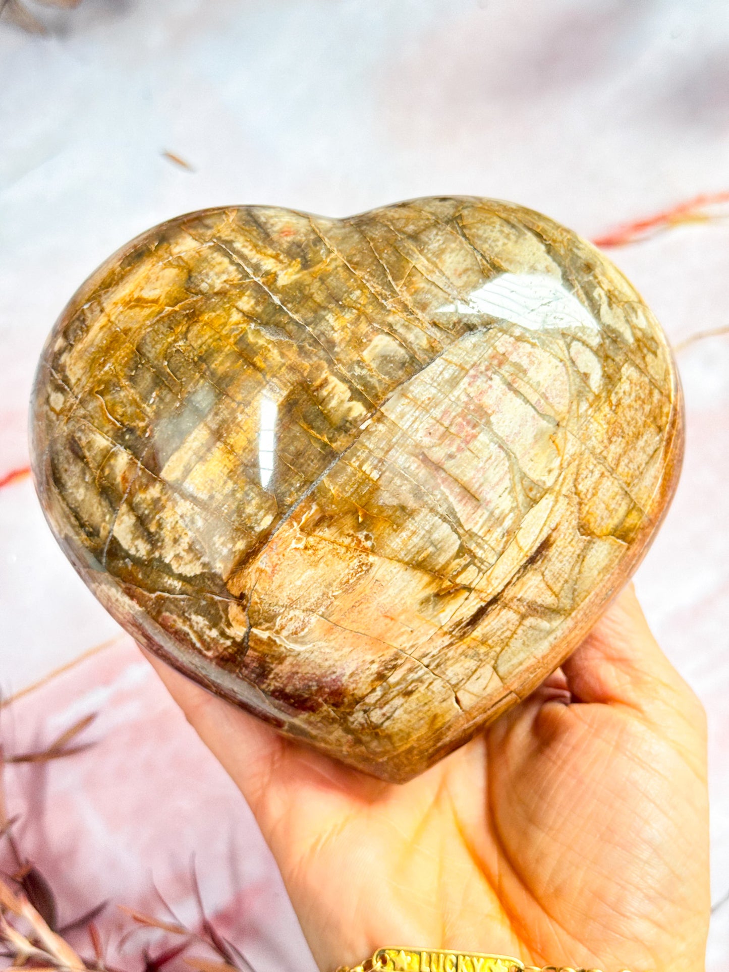 Petrified Wood Heart